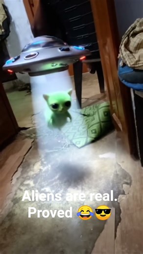 Aliens are real 😂😎 #alien #funny #notreal #funnyfilter #alienfilter #shortsyoutube