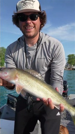 Summer slammin’ #whitewaterfish #walleyefishing