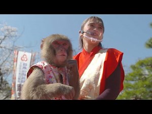【おサルと桜】満開の桜の下で笑顔生み出す「名コンビ」（2023年4月8日）