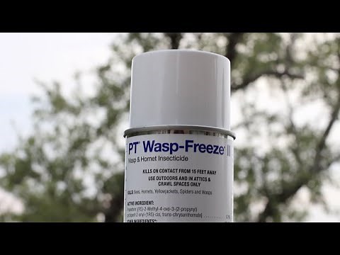 PT® Wasp-Freeze® II Wasp and Hornet Insecticide