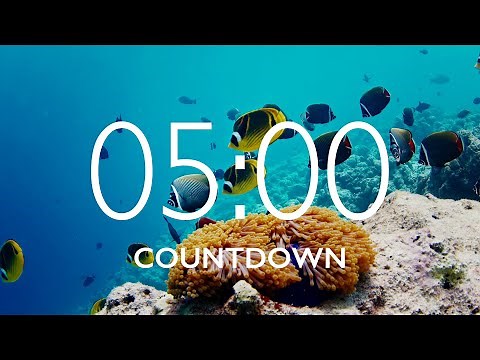 5 Minute Timer with Relaxing Music and Alarm