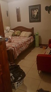 Y siguen las aventuras de bruno colors y su pandilla jaja | Chanchi Colors CR