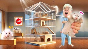 246K views · 6.1K reactions | ไปจตุจักร!! ออกแบบบ้านหลังใหญ่ ซื้อของทำบ้านให้ครอบครัวตัวจิ๋ว | Topby Toast | Facebook