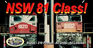 NEW SOUTH WALES 81 CLASS