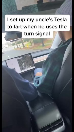 Hilarious Tesla Prank Uncle in Car