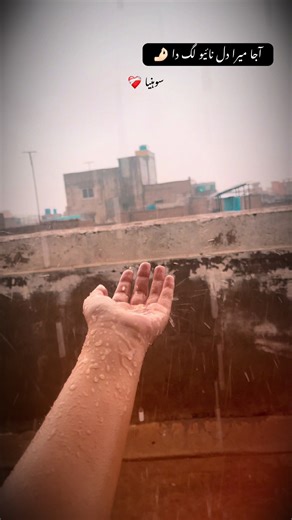 Repost 👀🤌🏻#rosie_rajput29