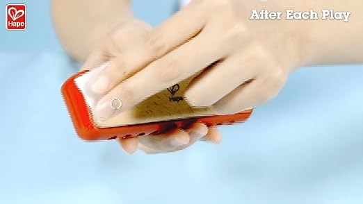 Hape Harmonica Cleaning Instruction