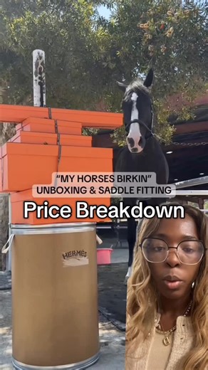 Destinee Wilson on Instagram: "Dang there’s even animals with a better life than me 😩😩🥴😭 video creds go to @elaineratner #pricebreakdown #equestrians #richpeople #wealthy #hermes"
