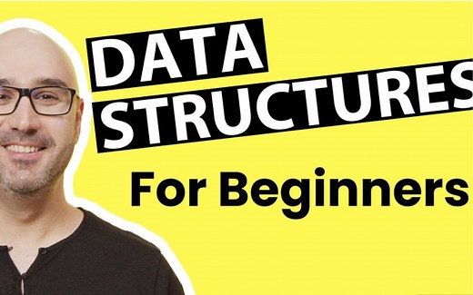 【全中文翻译】火爆YouTube的Mosh Hamedani编程大佬讲解的数据结构与算法基础知识 还不赶紧来学！