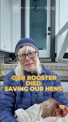 Our rooster died saving our hens...
