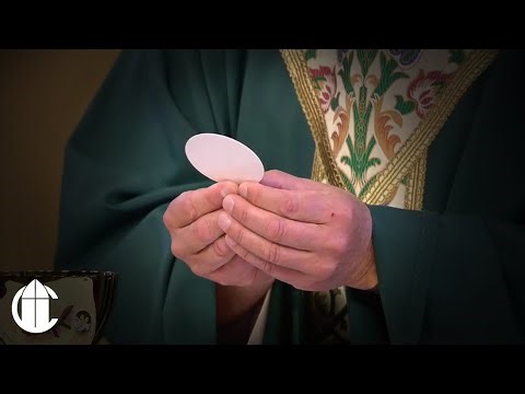 La Santa Misa | Vigésimo Séptimo Domingo del Tiempo Ordinario