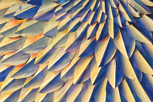 Our Journey with Quarkus | IBM