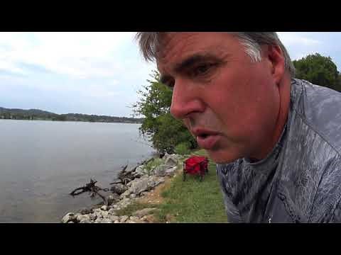 Reel Talk