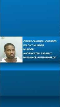 Atlanta Police records show history of calls to home of NFL player's brother who allegedly killed th