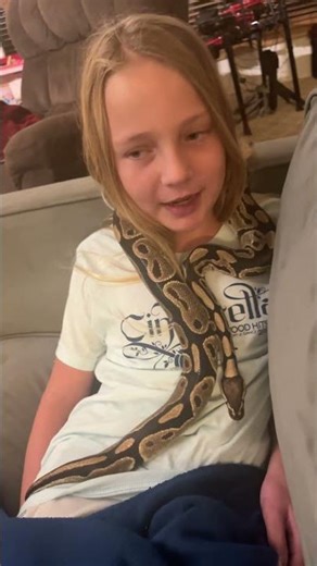 Meet my ball python (💗Zena💗)