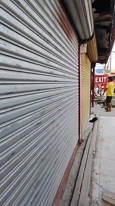 Akong BALAOD karon | Meme and friends