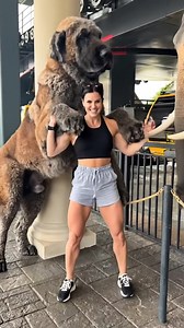 9K views · 31 reactions | dogs love women ❤️  #doglover #lovedogs #dog #puppy #goldenretriever | Vivid Sector | Facebook