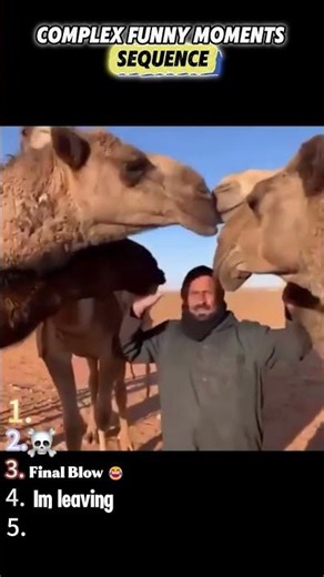 Random Mixed Funny Videos Ranking