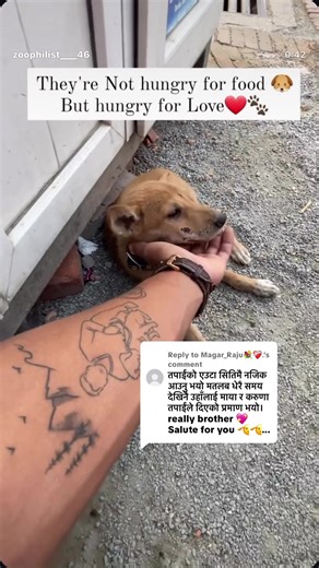 Embracing Nature's Beauty with Street Dogs