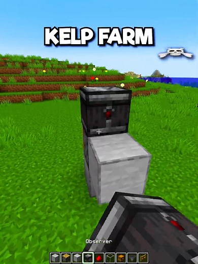 Minecraft Kelp Farm🥬 (SEMPERO) #minecraft #shorts | ICraftInfinite