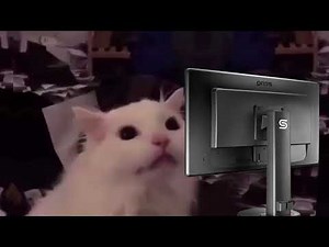 When You Accidentally Turn On Light Mode (Part 2)