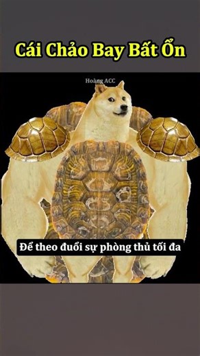 Chiến Thuật Chảo Bay Bất Ổn 🤣 #shorts