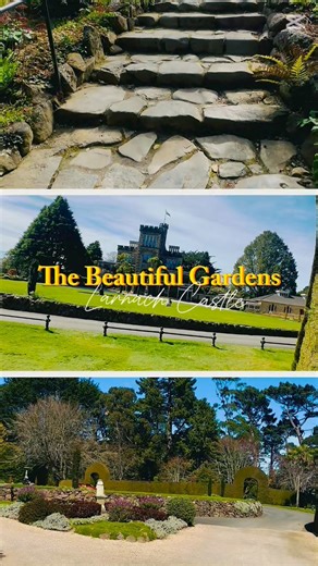3.5K views · 85 reactions | Larnach Castle in Dunedin, New Zealand, is a must-visit destination featuring stunning gardens, rich history, and breathtaking views of the Otago Peninsula. The castle and its 7-acre property showcase a unique blend of native and exotic plants, themed gardens, and intricate stonework. With guided tours, accommodation options, and delicious food and drink, Larnach Castle offers an unforgettable experience. | Dale Aldro | Facebook