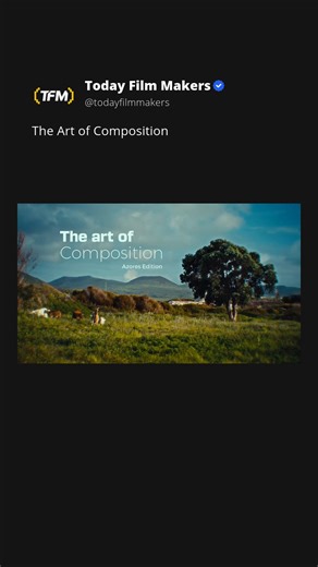 Today Film Makers 🎬 on Instagram: "The Art of Composition @sirencestudios Follow @todayfilmmakers for the Latest Filmmaking Tutorials & Tips 🎥 ➡ @todayfilmmakers ➡ @todayfilmmakers ➡ @todayfilmmakers No Copyright Intended: DM for Credit/Removal 📥 #todayfilmmakers #filmmaking #videography #filmmakinglife"