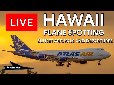 🔴 LIVE Arrivals and Departures in Hawaii at SUNSET - Plane Spotting - HNL - Live from Honolulu