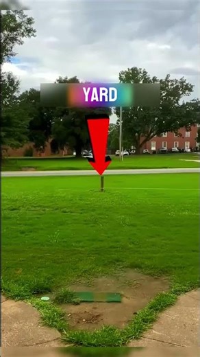 The Smartest Lazy Lawn Hack Ever Invented