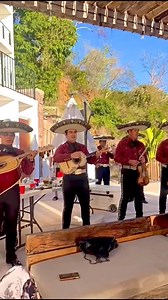 ￼Nuestro mariachi para tu cumpleaños 🥳🎺 Música en vivo para acompañar reuniones familiares y celebraciones 📲Contrataciones: 52 322 237 7934 👈✅ WhatsApp📍disponibilidad en Puerto Vallarta, Bahía de Banderas y sus alrededores #mariachi #mexico #premium #PuertoVallarta #cumpleaños #music #eventos #fiesta #luxury #cantante #musicaenvivo #fancy #musician #parati #musicos #tendencia | Mariachi México Premium de Puerto Vallarta