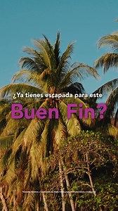 🌴 Este Buen Fin, escápate a la playa. Viajes con precios increíbles. ¡Aprovecha antes de que se agoten! | YA VAS de Volaris