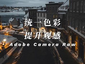 照片统一色彩,提升高级感CameraRaw调色案例 #摄影后期调色 #acr调色教程