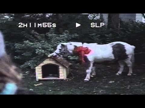 Verizon Wireless Holiday Commercial (VHS Rip) (c. 2007)