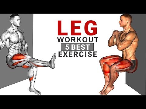 Legs Exercises At Home Without Equipment I Leg Day for Power and Mobility