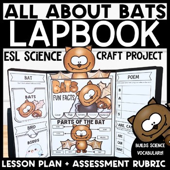 All About Bats Life Cycle Lapbook-ESL Informational Writing Craft-2nd Grade