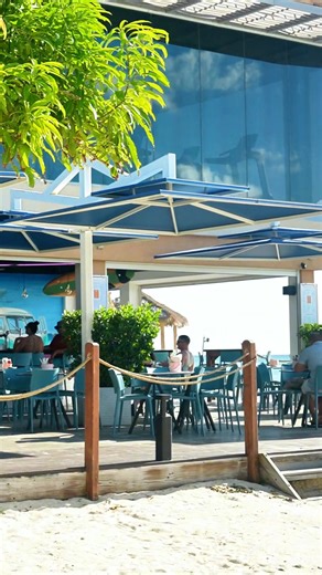Sunlight on the terrace, a sea breeze in the air, and the sound of glasses clinking softly. Pull up a chair, take in the view, and let the day unfold at its own pace. Beach Bar in Aruba is where casual moments meet island style. | Beach Bar Aruba