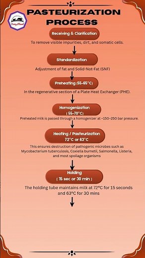 Pasteurization & Why It Matters in Dairy? #dairyindustry #dairytechnologystudents #milkprocessing