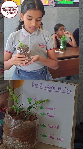 Understanding the layers of Soil - Social Science Activity