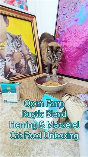 Open Farm Rustic Blend Herring & Mackerel Cat Food Unboxing