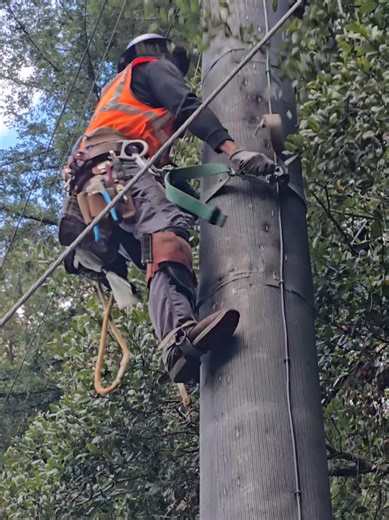 The Art of Perfectly Thrown Hand Lines in Lineman Work