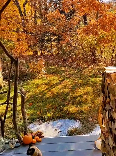 I'm not a huge fan of the hot summer months. Looking forward to sweaters, boots and pumpkins #autumn #fall #view #autumnvibe #fallvibes
