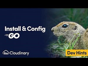 Install & Configure Cloudinary in Go - Dev Hints
