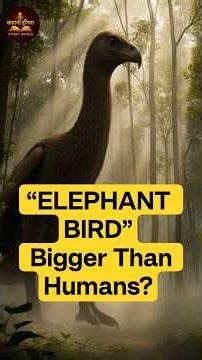 Elephant Bird: Humans destroyed the world's heaviest bird | Extinct Giant Bird #elephantbird