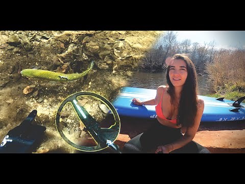 Metal Detecting a Trout filled Creek