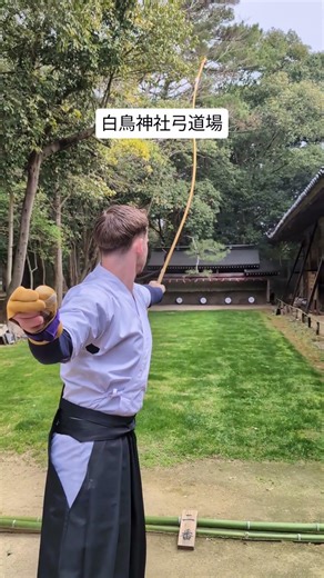 #白鳥神社弓道場 はどなたでも利用可能。経験者の方は100円。道具の貸し出し500円（久しぶりに弓を引く方は教室へ）、初心者教室2,000円/2時間、観光体験などもあります😊 #弓道 #kyudo