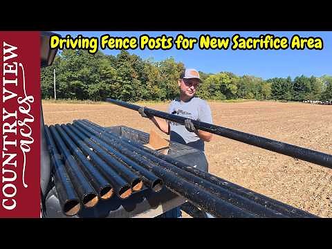 Building Pipe Fence Braces, No Welding Required. Starting to Fence in New Sacrifice Area