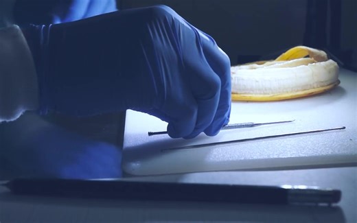 【食物外科医生】如何为香蕉验尸