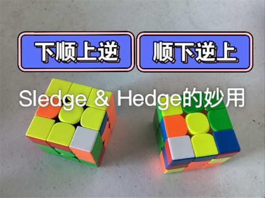 啥是sledge和hedge? 魔方高级词语表示啥？在哪里可以用？