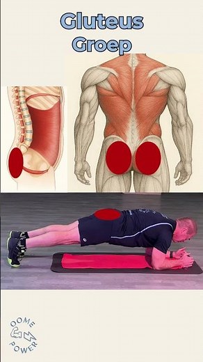 Welke spieren train je met de plank? | Complete Full Body Uitleg (Core, Billen, Schouders & Meer)